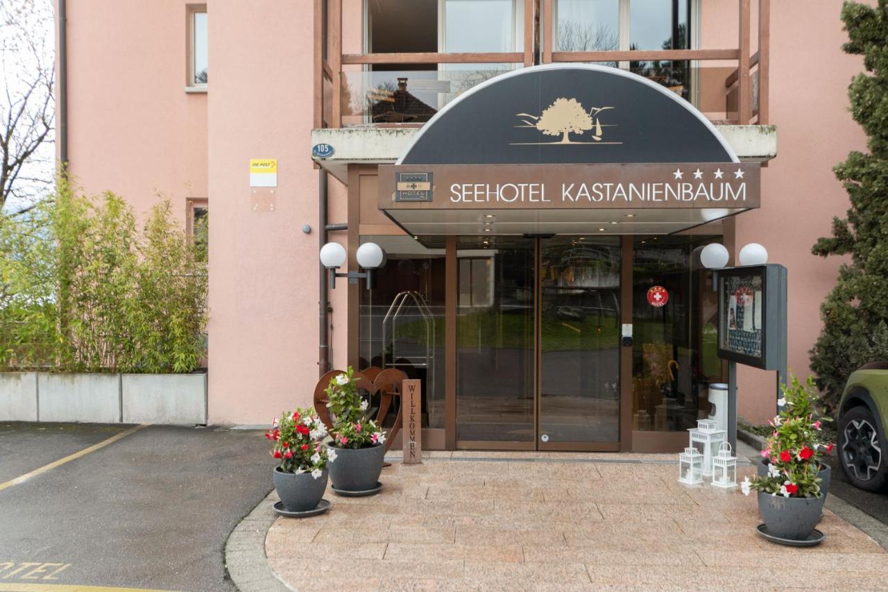 Seehotel Kastanienbaum Lucerne Ngoại thất bức ảnh